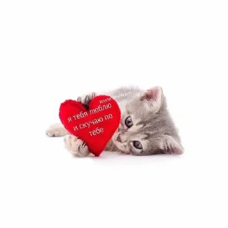 😻 emoji для любимой :: Telegram sticker 21 of 77