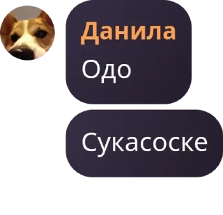 🤦 emoji Ⲃυⲛⳋⲟ ⲋⲧʀⲁⲩ ⲇⲟⳋⲋ ϝⳑⲟⲟⲇ. pack by @QuotLyBot Telegram sticker 6 of 113
