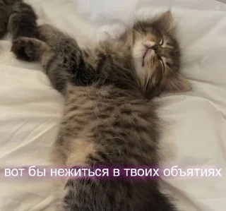 Sticker from солнце
