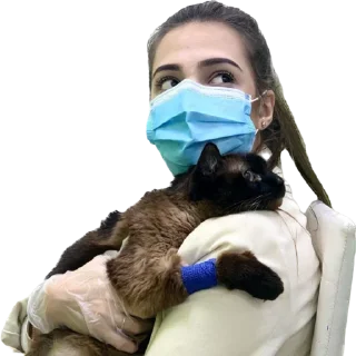 ❤️ emoji солнце Telegram sticker 14 of 27