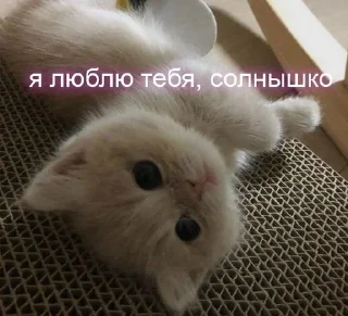 Sticker from солнце