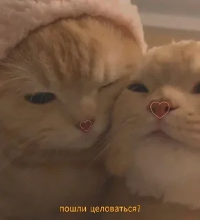 🌟 emoji солнце Telegram sticker 8 of 21