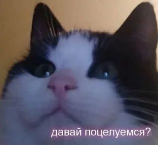 🌟 emoji солнце Telegram sticker 14 of 21