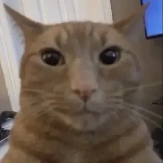 😳 emoji заебали я свой пак создам Telegram sticker 18 of 120