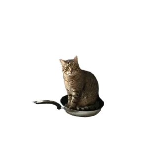 Sticker from Кит_кат @minxoxen