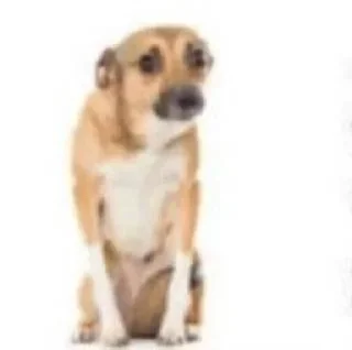 😰 emoji заебали я свой пак создам Telegram sticker 15 of 120