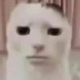 😔 emoji заебали я свой пак создам Telegram sticker 11 of 120