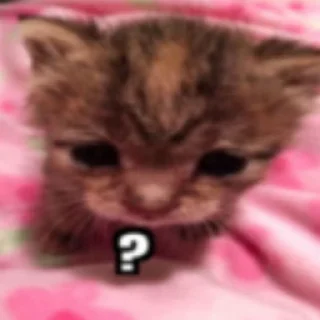 🥺 emoji заебали я свой пак создам Telegram sticker 7 of 120