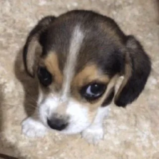 😔 emoji заебали я свой пак создам Telegram sticker 8 of 120