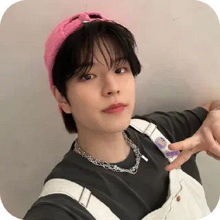 🐶 emoji SEUNGMIN #seungmin #straykids Telegram sticker 7 of 37