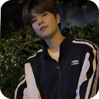 🦋 emoji SEUNGMIN #seungmin #straykids Telegram sticker 9 of 37