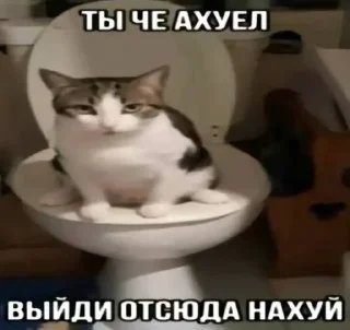 😡 emoji Пак аутиста(@vfmlex) Telegram sticker 22 of 120