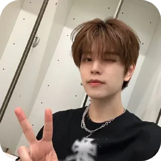 ✌ emoji SEUNGMIN #seungmin #straykids Telegram sticker 10 of 37