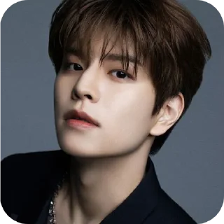🌙 emoji SEUNGMIN #seungmin #straykids Telegram sticker 23 of 37