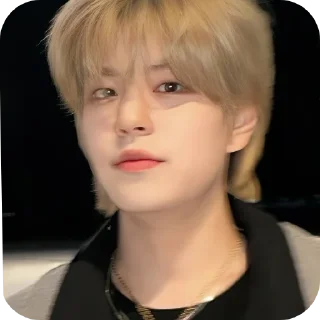 🫣 emoji SEUNGMIN #seungmin #straykids Telegram sticker 8 of 37