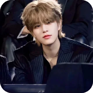 😍 emoji SEUNGMIN #seungmin #straykids Telegram sticker 17 of 37