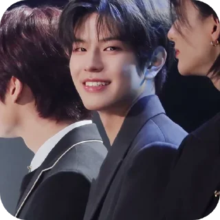 🌟 emoji SEUNGMIN #seungmin #straykids Telegram sticker 14 of 37