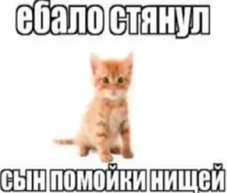 🖕 emoji Пак аутиста(@vfmlex) Telegram sticker 2 of 120