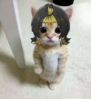 🌽 emoji bachiiraa Telegram sticker 20 of 50