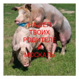 😄 emoji Котлеты Telegram sticker 5 of 11