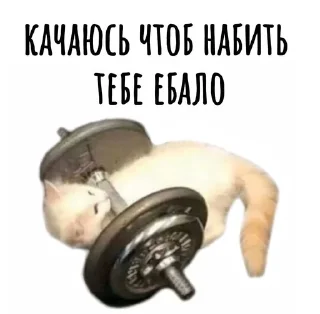 🌟 emoji для диалога Telegram sticker 23 of 72