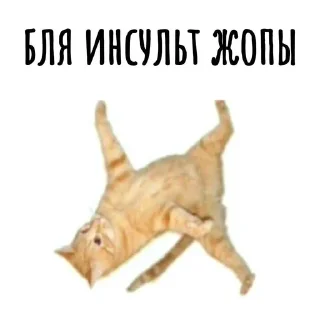🌟 emoji для диалога Telegram sticker 13 of 72