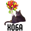 Sticker from у