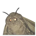 Sticker from у