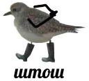 Sticker from у