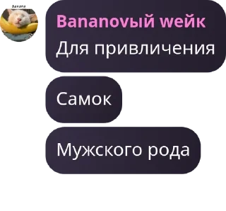 👩‍🍳 emoji 🍺ПИВНОЕ БРАДСДВО🍺 pack by @QuotLyBot Telegram sticker 13 of 120
