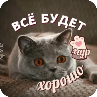 Sticker from @emoshko Сборный