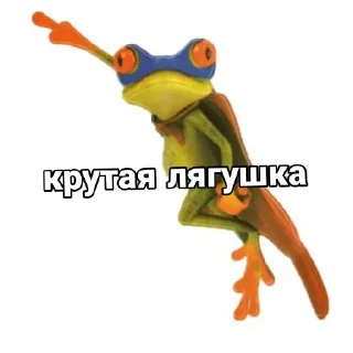 Sticker from Крутая лягушка