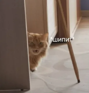 😤 emoji Сёма Telegram sticker 7 of 27