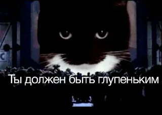 🌟 emoji Cats Telegram sticker 22 of 110