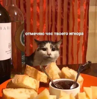 🥂 emoji И грустно и вкусно Telegram sticker 9 of 37