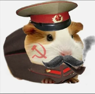 🤩 emoji Аватарки с канала VOCSTOR @TgEmodziBot Telegram sticker 7 of 45