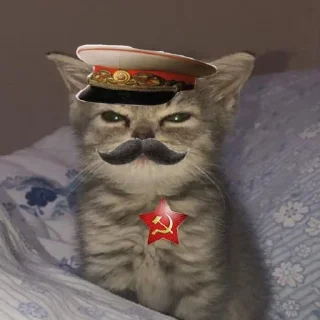 🤩 emoji Аватарки с канала VOCSTOR @TgEmodziBot Telegram sticker 21 of 45