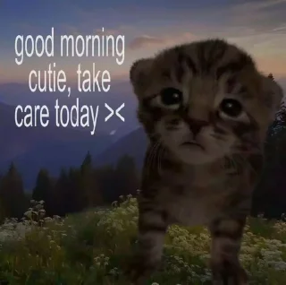 Sticker from Cats aww