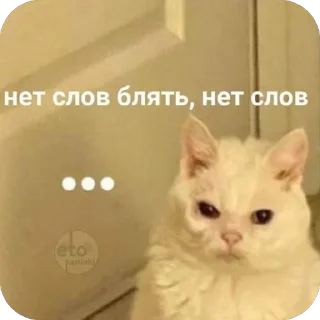 😐 emoji 🐱 Telegram sticker 16 of 71