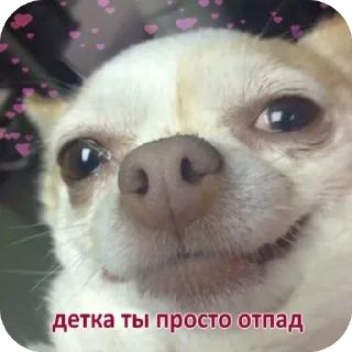 😍 emoji 🐱 Telegram sticker 23 of 71