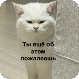 😡 emoji 🐱 Telegram sticker 10 of 71