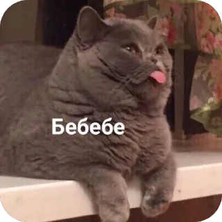 😛 emoji 🐱 Telegram sticker 12 of 71