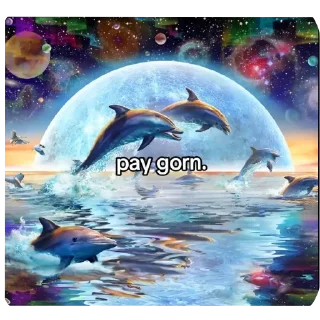 🐦 emoji Дельфинчики 🐬 @DelfinSticker Telegram sticker 13 of 43