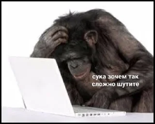 😐 emoji На приколе @ksxkxs1 Telegram sticker 9 of 94