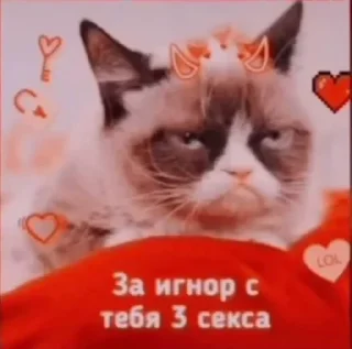 🥵 emoji На приколе @ksxkxs1 Telegram sticker 6 of 94