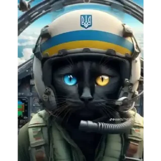 Sticker from Українські коти