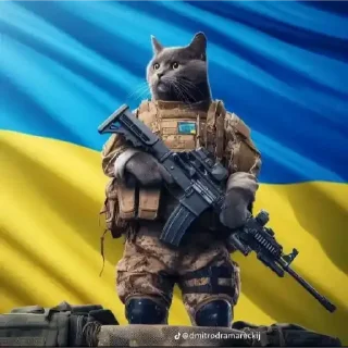Sticker from Українські коти