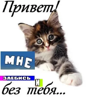 👋 emoji уебанские открытки - @postpozhelaniya Telegram sticker 6 of 29