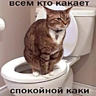 💩 emoji уебанские открытки - @postpozhelaniya Telegram sticker 2 of 29