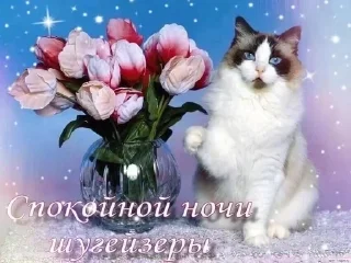 Sticker from (_ _).｡o○ by @milunyan